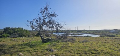 New development for sale in Yzerfontein, Yzerfontein